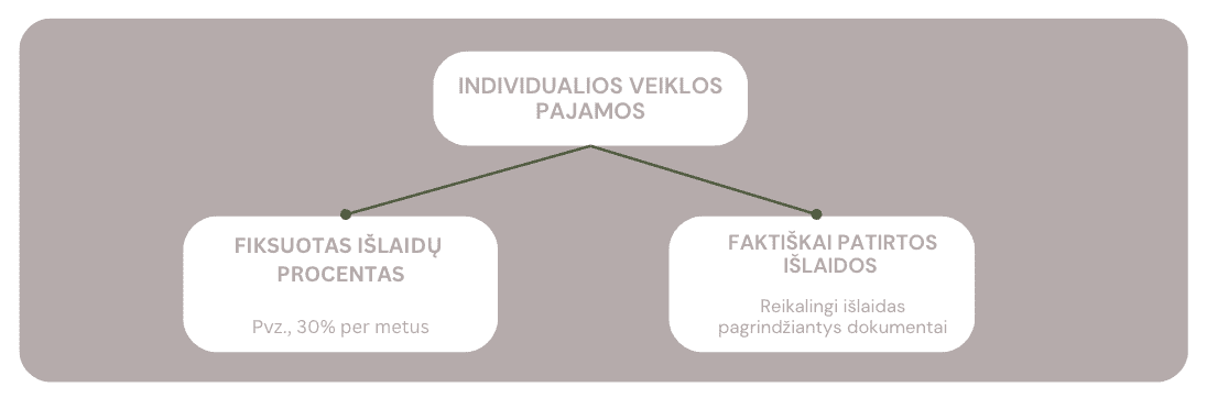 Individualiai veiklai patirtų išlaidų fiksavimas